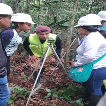 Manejo Forestal